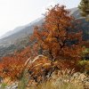 20101009_144